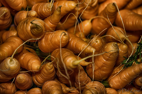 11-17 Indoor Farmers Market-80