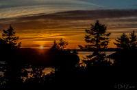 03-11 Vibrant Sunset--5