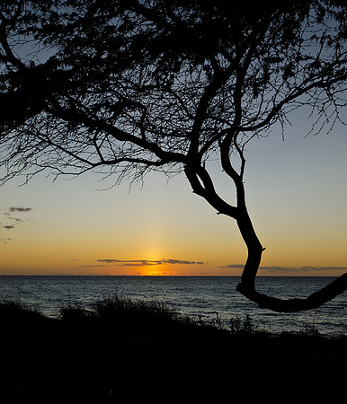 DSC_6614