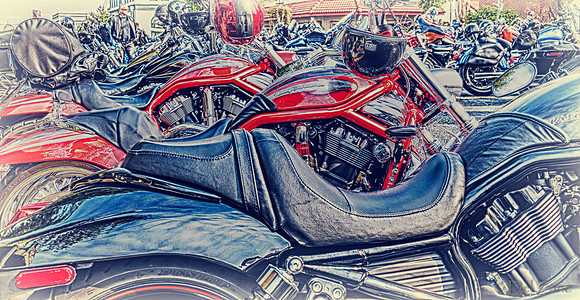 09-23 Oyster Run-37