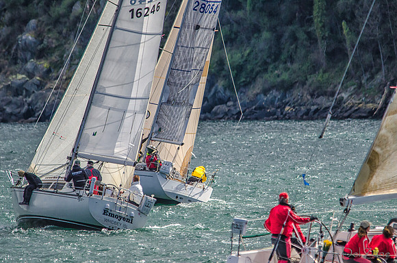 04-06 Tulip Regatta Press Release Photos-9