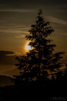 BO Sunset--3