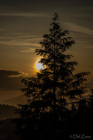 BO Sunset--3