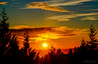"Orange Aid Sunset"