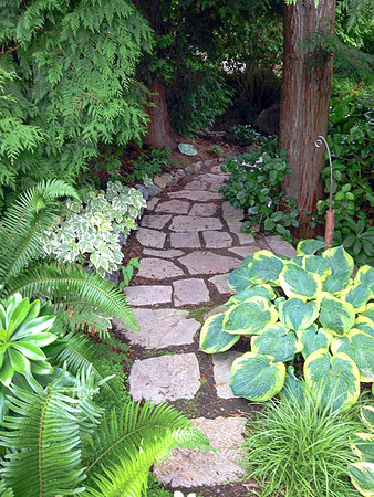 04-01 SDZ Garden Yard JPEGs-1175