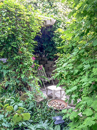04-01 SDZ Garden Yard JPEGs-924