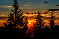 Golden Sunset