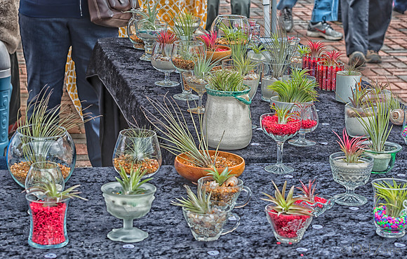 Farmers' Market 1--3