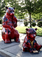SDZ Trip Pix--9