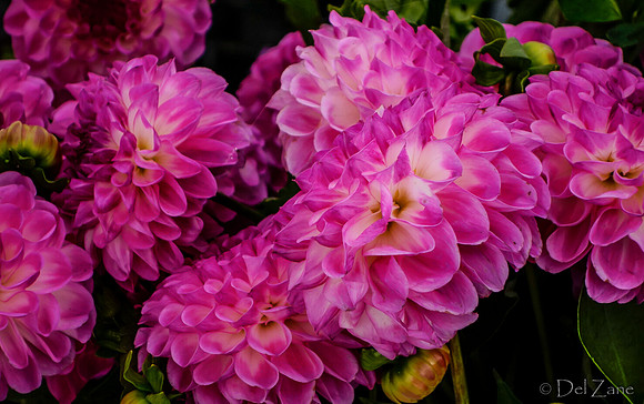 10-05 Farmers' Market--114