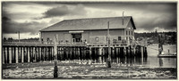 03-02 Coupeville-16