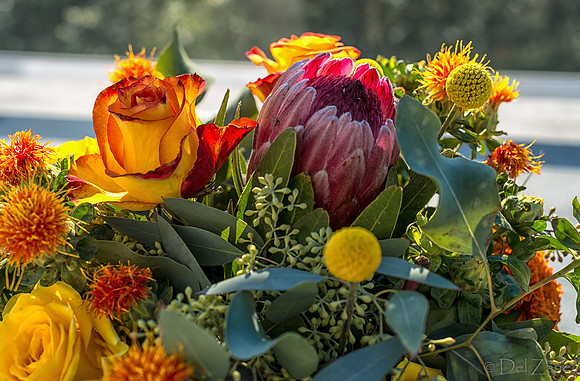 10-01 Bouquet TIFFs--19