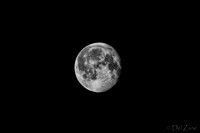 03-29 Early Morning Moon-14