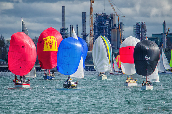 04-06 Tulip Regatta Press Release Photos-6