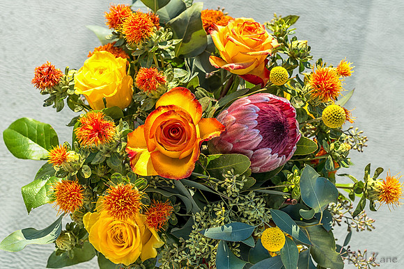 10-01 Bouquet TIFFs--20