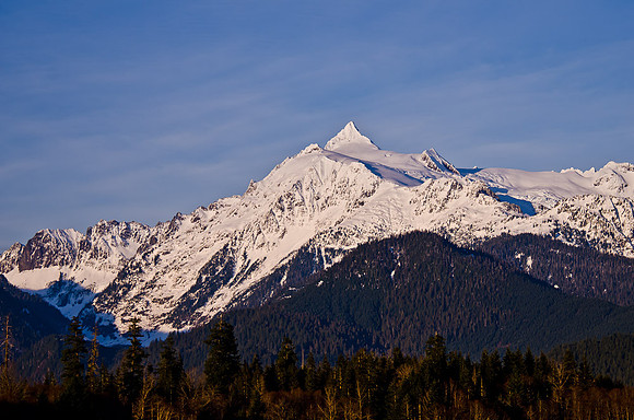 _DSC5124