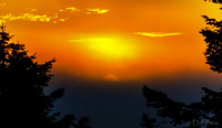 Foggy October Sunset