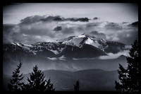 The Very Distant Olympic Mountains-5