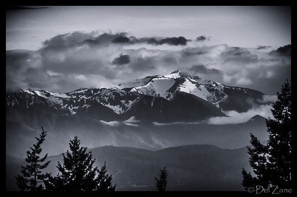 The Very Distant Olympic Mountains-5
