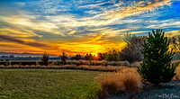Frosty November Sunrise 11-04-2020