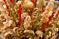 Pike Place Flora Sampling-12