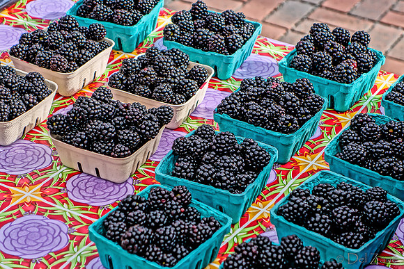 10-05 Farmers' Market--103