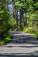 07-11 A Walk in Washington Park-