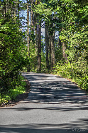 07-11 A Walk in Washington Park-