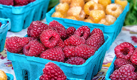 07-21 Farmers' Market-49