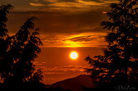07-22 Golden Sunset--2