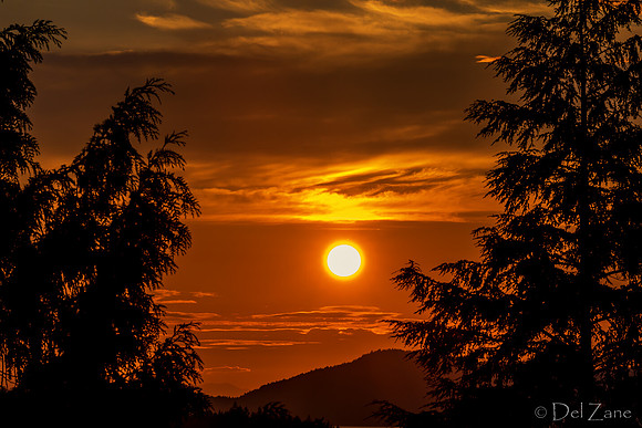 07-22 Golden Sunset--2