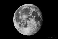 03-29 Early Morning Moon-7