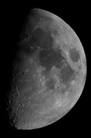 _DSC4377