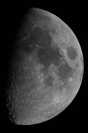 _DSC4377