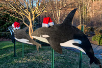 12-03 MH Daylight Xmas Display--8