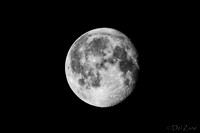 03-29 Early Morning Moon-6
