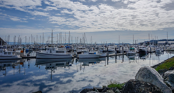 10-05 Cap Sante Marina-0541