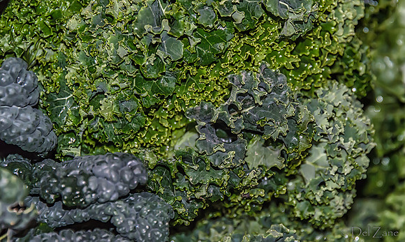 11-23-2013  Xmas Farmers' Market--21