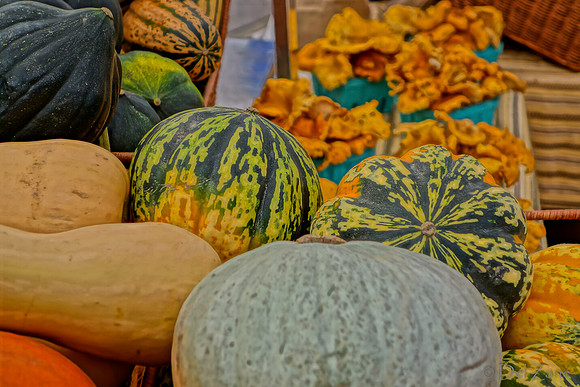 10-05 Farmers' Market--99