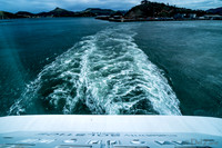 Dunedin Farewell-