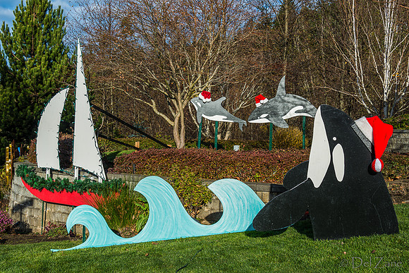 11-27-13  Marine Heights Daylight Xmas Display--6