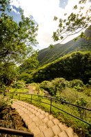 Iao Valley State Park-3