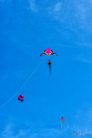 06-06 Kites TIFFs--7