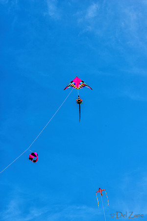 06-06 Kites TIFFs--7