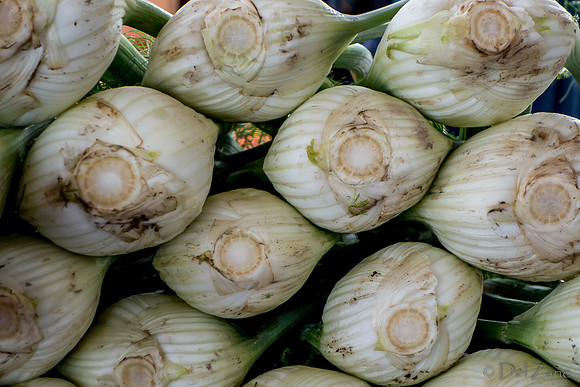 10-05 Farmers' Market--57