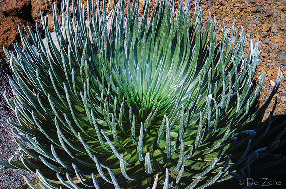 Haleakala-9