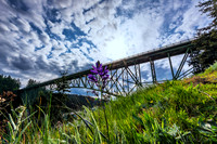 04-02 Deception Pass Bridge TIFFs--12