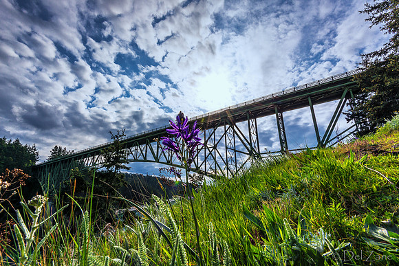 04-02 Deception Pass Bridge TIFFs--12