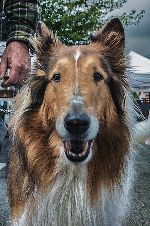 Farmers' Market 2--47