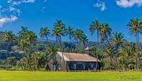 Ke'anae Peninsula 01-23-2020